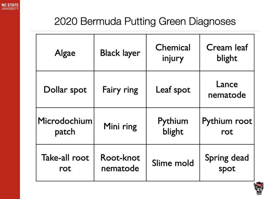 2020 Bermuda DIagnosis chart image