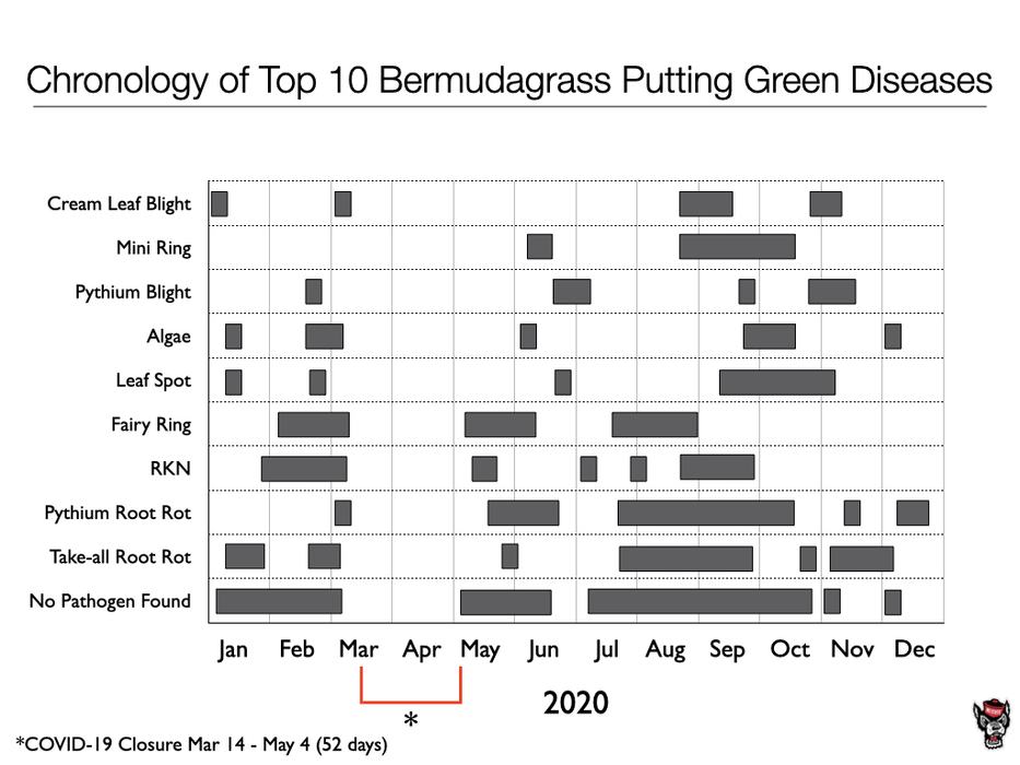 Chronology chart image