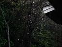 rain falling and dripping from a roof