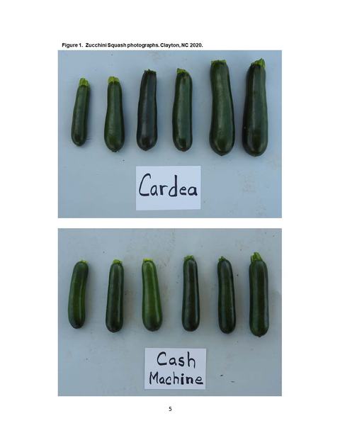 Six zucchinis above a card labeled "Cardea"; six zucchinis above a card labeled "Cash Machine"