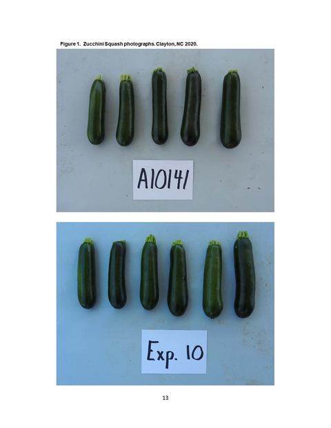 Five zucchinis above a card reading "A10141" and six zucchinis above a card reading "Exp. 10".