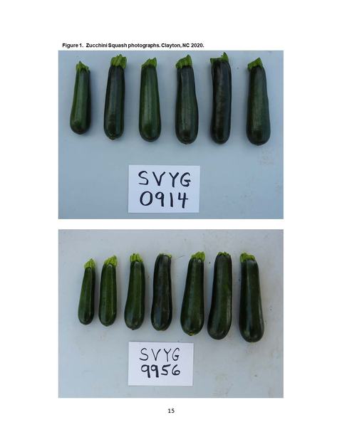 Two rows of zucchinis with handwritten labels "SVYG 0914" (top) and "SVYG 9956" (bottom)