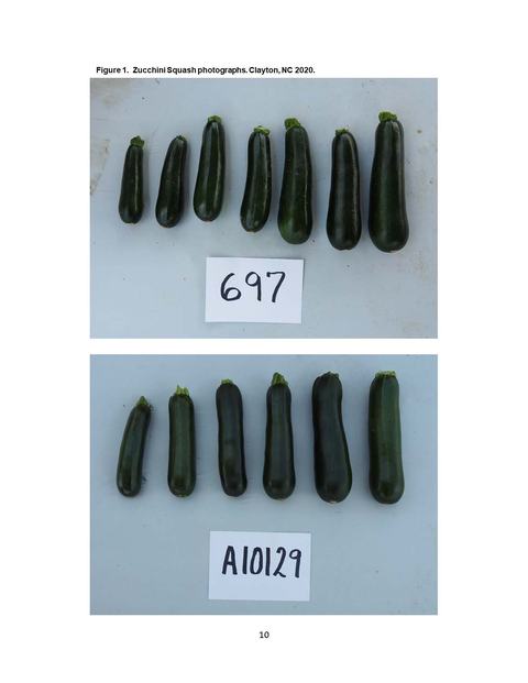 Top row of zucchinis above card "697"; bottom row of zucchinis above card "A10129" on tabletop