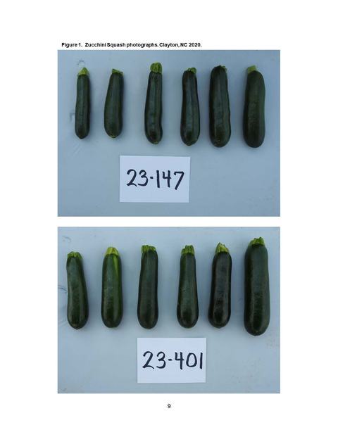 Two rows of six dark green zucchinis labeled "23-147" (top) and "23-401" (bottom)