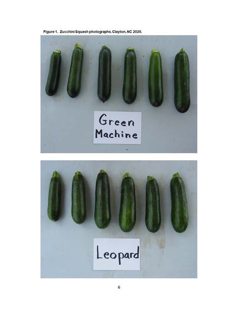 Six zucchinis labeled "Green Machine" (top) and six zucchinis labeled "Leopard" (bottom)