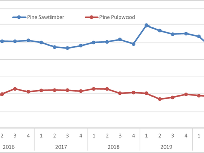 Pine sawtimber and pulpwood prices in North Carolina chart image