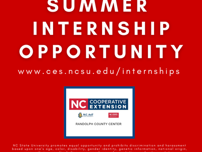 internship opportunity