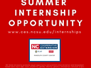 internship opportunity