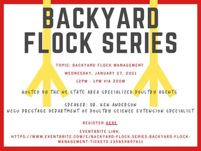 BACKYARD FLOCK SERIES: Flock Management, Jan 27 2021, 12–1PM via Zoom, Speaker Dr. Ken Anderson