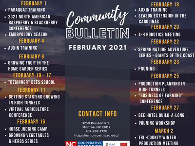 Community Bulletin - February 2021