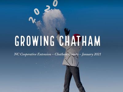 Person tossing snow with text: GROWING CHATHAM; NC Cooperative Extension ~ Chatham County ~ January 2021