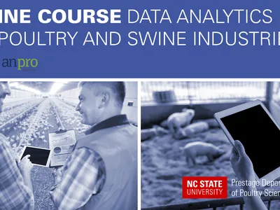 blue overlay with text Online Course Data Analytics For Poultry and Swine Industries and anprocampus and NC State logos