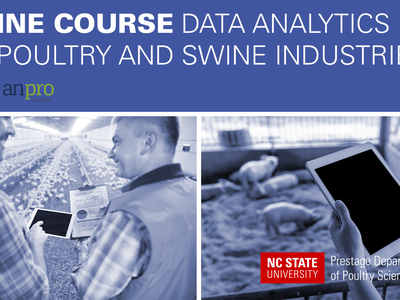blue overlay with text Online Course Data Analytics For Poultry and Swine Industries and anprocampus and NC State logos