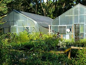 Two translucent greenhouses with plants on benches and an exterior air-conditioning unit