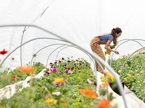 women looking at flowers in a greenhouse