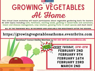 Growing Vegetables At Home virtual workshop; register at growingvegetablesathome.eventbrite.com