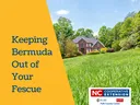 How to Kill Bermuda Grass In Your Lawn