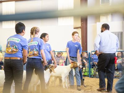 Kids showing livestock