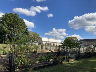 Fenced raised garden beds with plants in front of a white barn under a blue sky