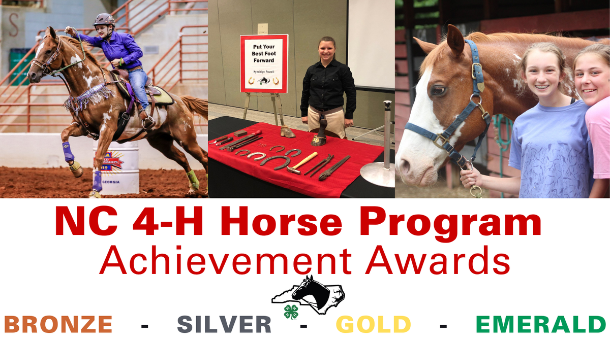 nc 4-h horse program logo