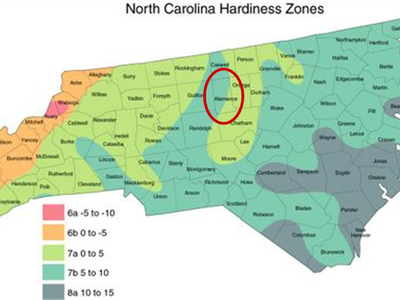 North Carolina hardiness zones map with Alamance County circled in red