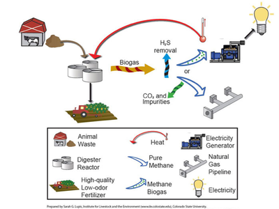 Anaerobic Digester Systems graphic