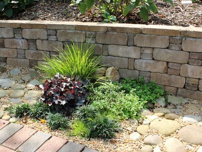 plants in front of a wall