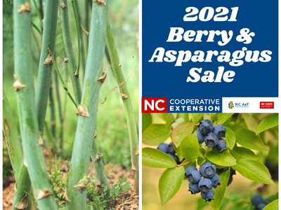 Polk County NC 2021 Berry & Asparagus Sale