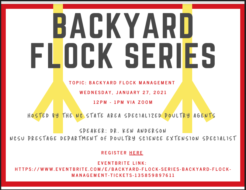 Backyard Flock Series flyer