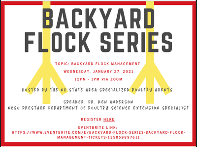 Backyard Flock Series flyer