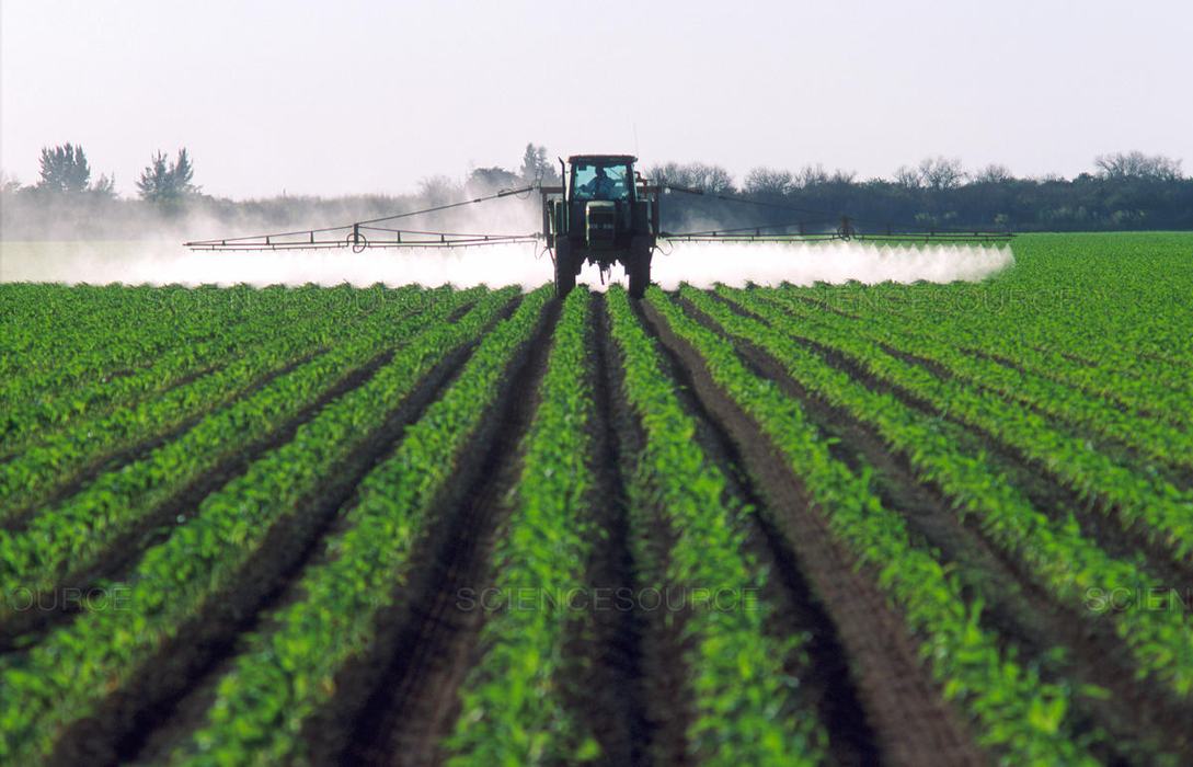 Tractor spraying field