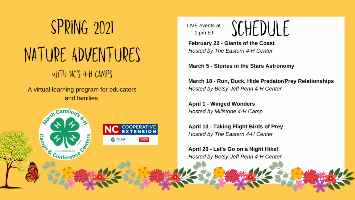 Nature Adventures flyer