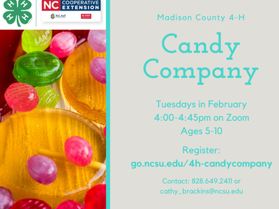 4-H Candy Company Flyer. All text in webpage.