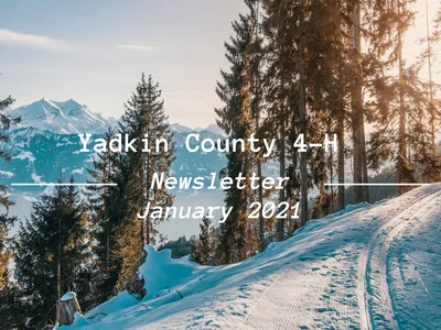 Snowy mountain trail and trees; text: "Yadkin County 4-H Newsletter January 2021"