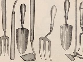 Assorted hand garden tools—trowels, hand forks, and small hoes arranged vertically
