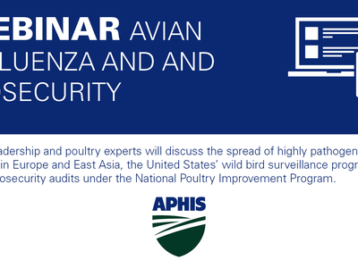 dark blue banner with devices icon and text Webinar Avian Influenza and Biosecurity