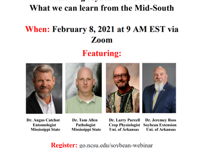 Webinar flyer