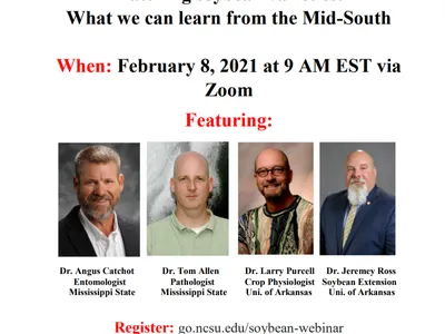 Webinar flyer