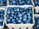 blueberries in carton