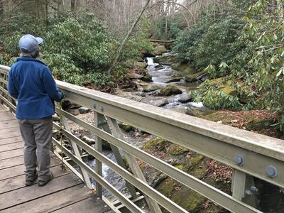 Hiking Blue Ridge Parkway
