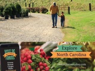 Man and child walking on gravel path; ad: 'Explore North Carolina' 'VisitNCFarmstoday.com'
