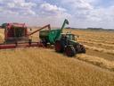 grain harvester