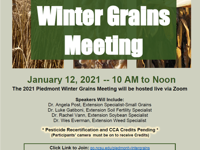 Flyer: Piedmont Winter Grains Meeting, January 12, 2021, 10 AM–Noon, hosted live via Zoom
