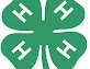 4-H clover icon