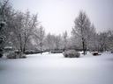 Park blanketed in snow with leafless trees, shrubs, and snow-covered benches and playground.