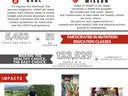 Report of Steps to HEalth Impact, infographic