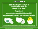 chick chain info