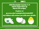 chick chain info