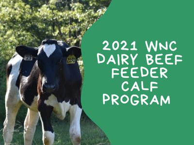 2021 WNC Dairy Breeder Calf Program
