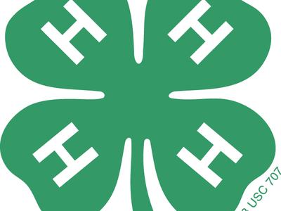 Green four-leaf clover with a white letter "H" on each leaf and small text "18 USC 707"